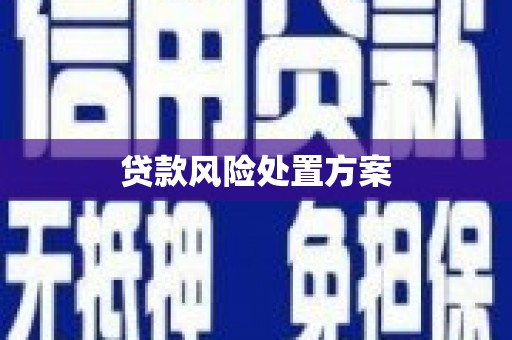 定远贷款风险处置方案
