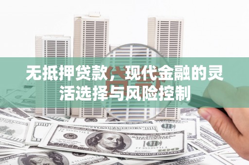 定远无抵押贷款，现代金融的灵活选择与风险控制