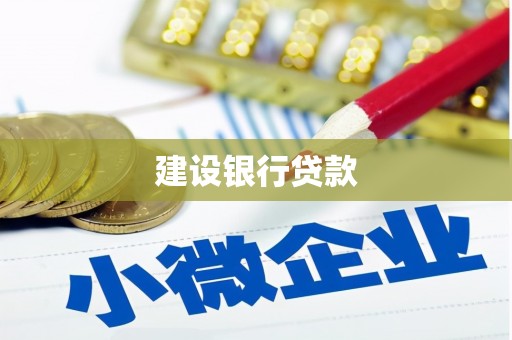 定远建设银行贷款