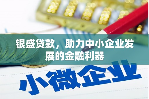 定远银盛贷款，助力中小企业发展的金融利器