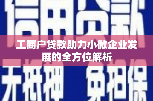 定远工商户贷款助力小微企业发展的全方位解析