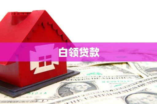 定远白领贷款