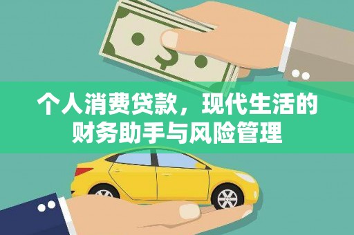 定远个人消费贷款，现代生活的财务助手与风险管理