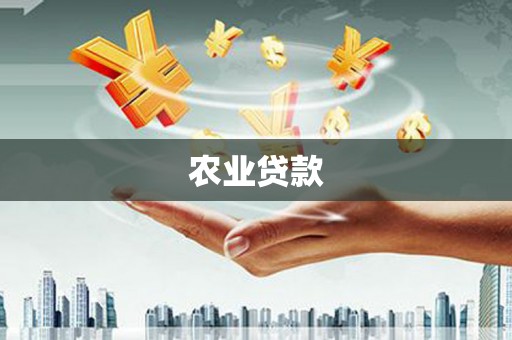 定远农业贷款