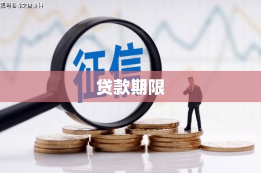 定远贷款期限