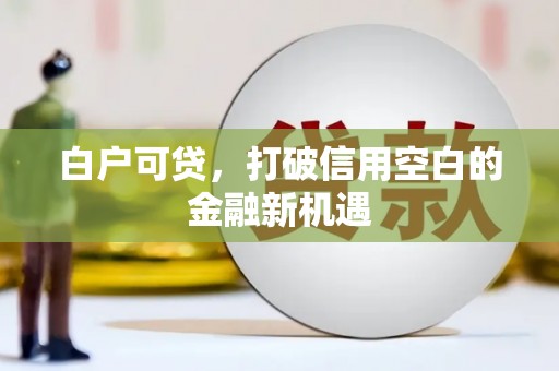定远白户可贷，打破信用空白的金融新机遇