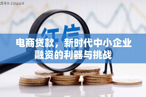 定远电商贷款，新时代中小企业融资的利器与挑战
