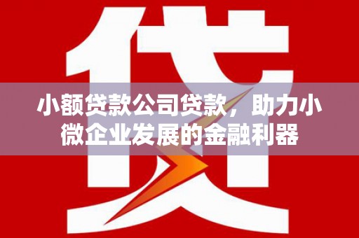 定远小额贷款公司贷款，助力小微企业发展的金融利器