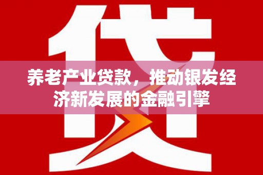 定远养老产业贷款，推动银发经济新发展的金融引擎