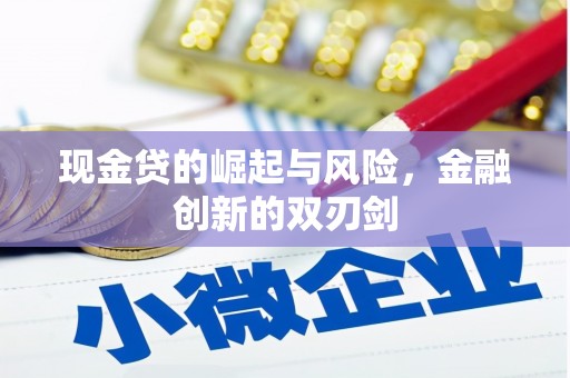 定远现金贷的崛起与风险，金融创新的双刃剑