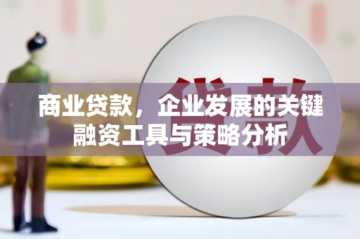 定远商业贷款，企业发展的关键融资工具与策略分析