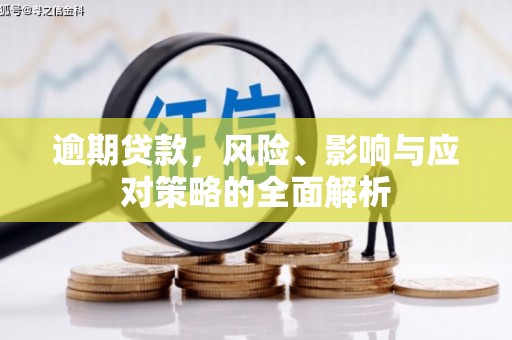 定远逾期贷款，风险、影响与应对策略的全面解析