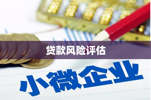 定远贷款风险评估