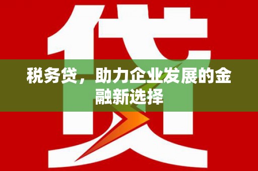 定远税务贷，助力企业发展的金融新选择