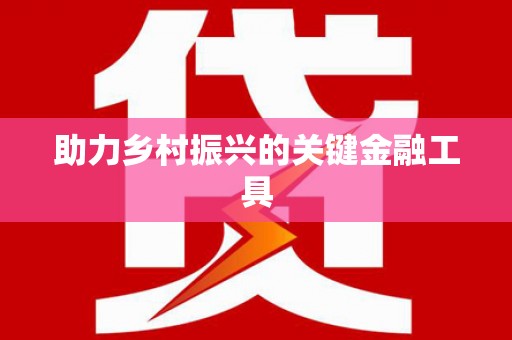 定远助力乡村振兴的关键金融工具