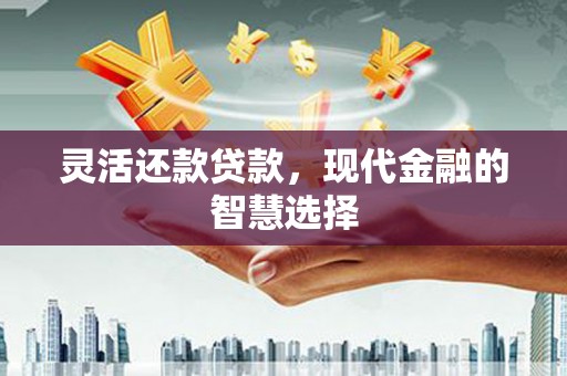 定远灵活还款贷款，现代金融的智慧选择
