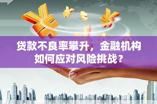 定远贷款不良率攀升，金融机构如何应对风险挑战？