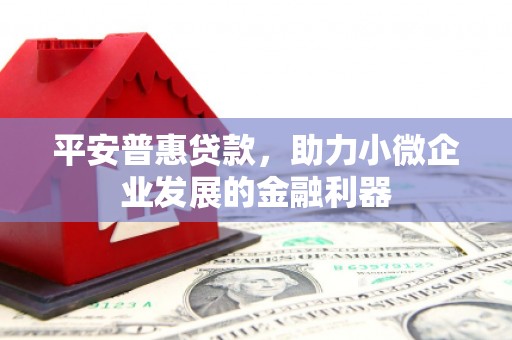 定远平安普惠贷款，助力小微企业发展的金融利器