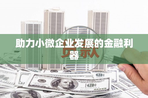定远助力小微企业发展的金融利器