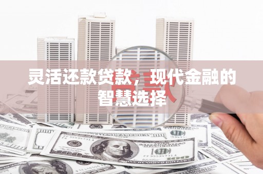 定远灵活还款贷款，现代金融的智慧选择