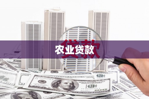定远农业贷款