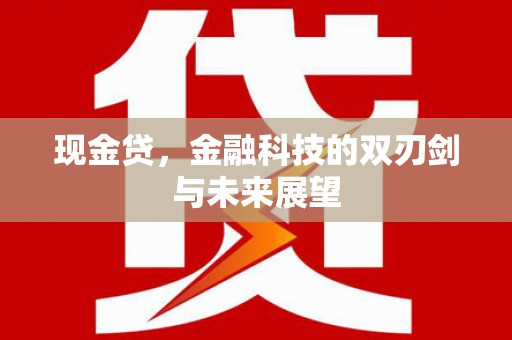 定远现金贷，金融科技的双刃剑与未来展望