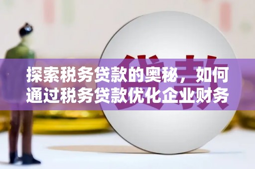 定远探索税务贷款的奥秘，如何通过税务贷款优化企业财务