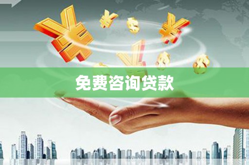 定远免费咨询贷款