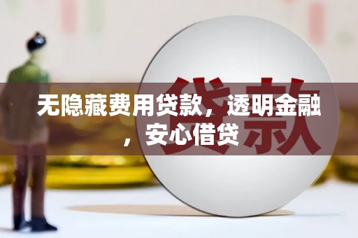 定远无隐藏费用贷款，透明金融，安心借贷