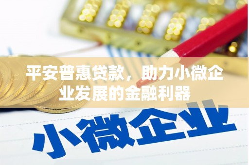 定远平安普惠贷款，助力小微企业发展的金融利器