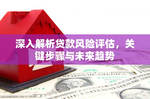 定远深入解析贷款风险评估，关键步骤与未来趋势