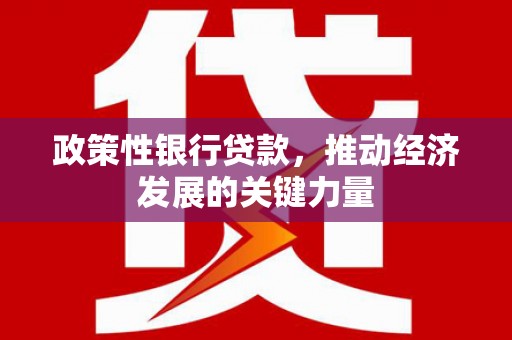定远政策性银行贷款，推动经济发展的关键力量