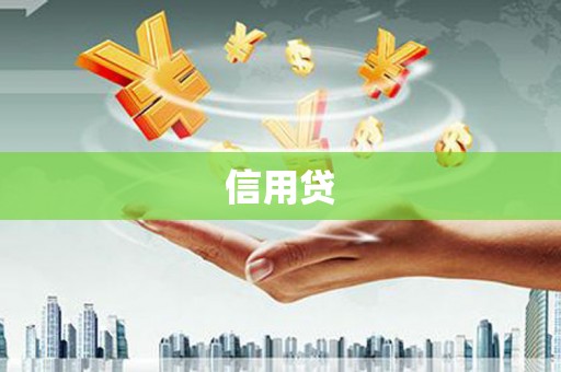 定远信用贷