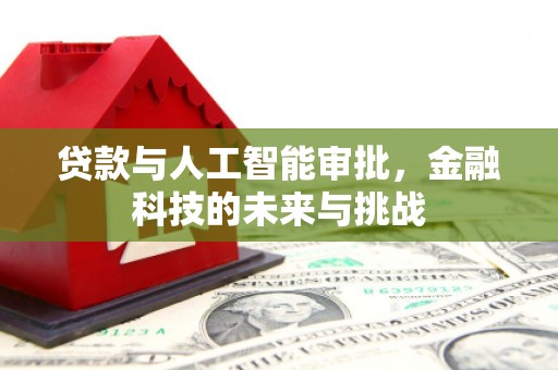 定远贷款与人工智能审批，金融科技的未来与挑战
