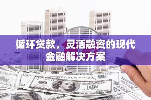 定远循环贷款，灵活融资的现代金融解决方案