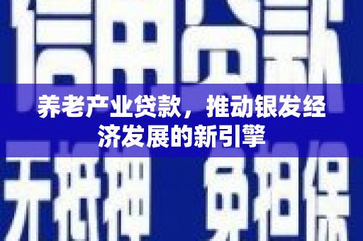 定远养老产业贷款，推动银发经济发展的新引擎
