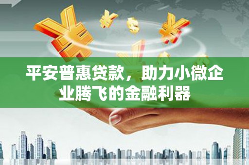 定远平安普惠贷款，助力小微企业腾飞的金融利器