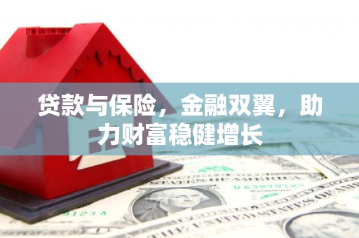定远贷款与保险，金融双翼，助力财富稳健增长