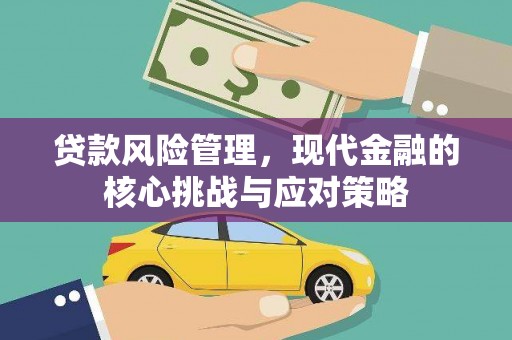 定远贷款风险管理，现代金融的核心挑战与应对策略