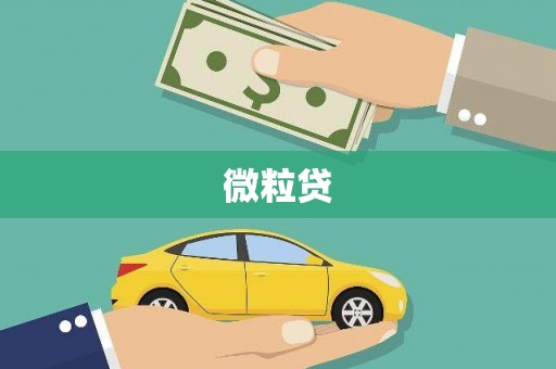 定远微粒贷