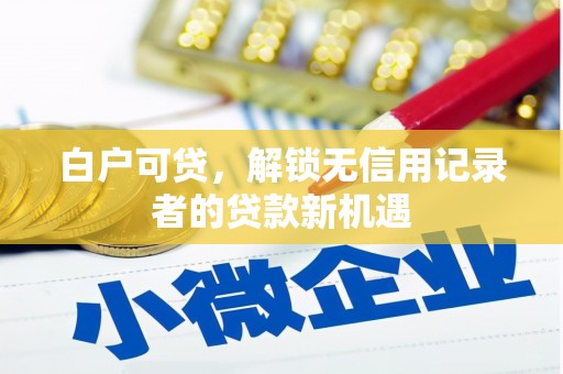 定远白户可贷，解锁无信用记录者的贷款新机遇