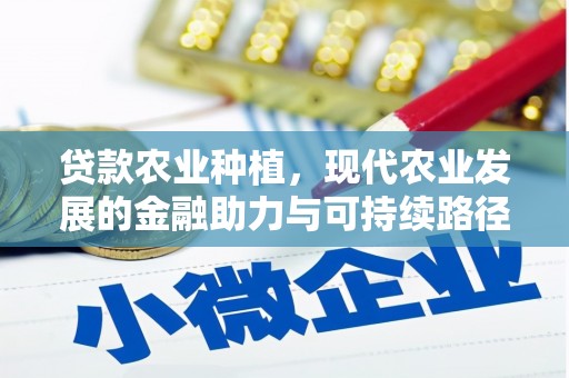 定远贷款农业种植，现代农业发展的金融助力与可持续路径