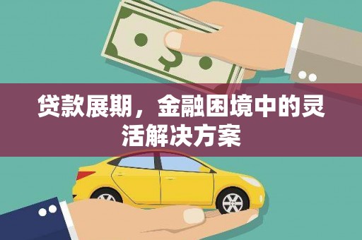 定远贷款展期，金融困境中的灵活解决方案