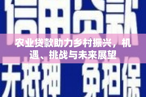 定远农业贷款助力乡村振兴，机遇、挑战与未来展望