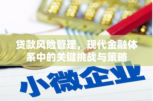 定远贷款风险管理，现代金融体系中的关键挑战与策略
