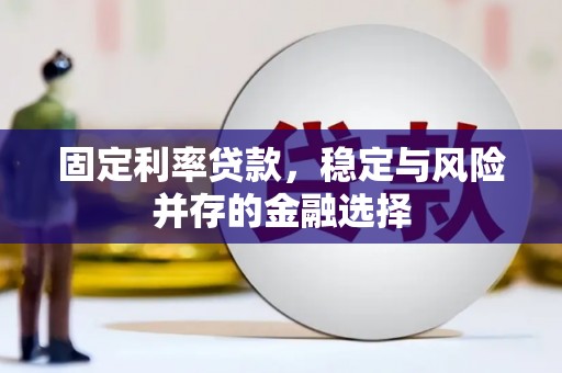 定远固定利率贷款，稳定与风险并存的金融选择
