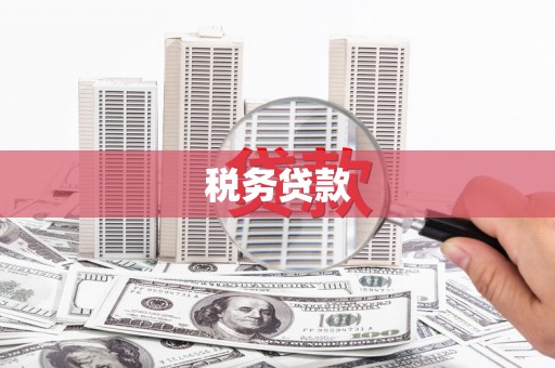 定远税务贷款