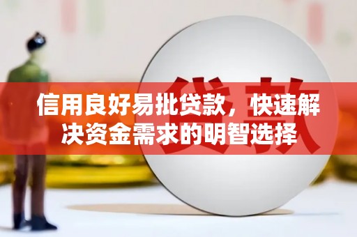 定远信用良好易批贷款，快速解决资金需求的明智选择