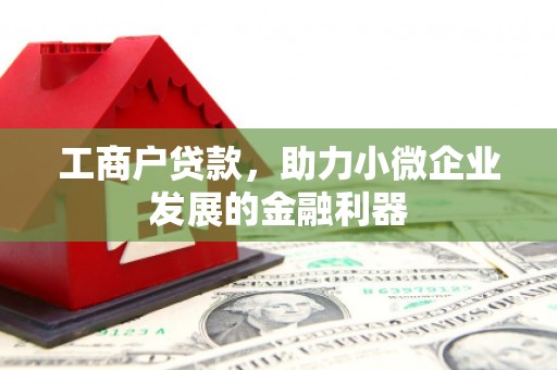 定远工商户贷款，助力小微企业发展的金融利器