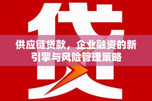 定远供应链贷款，企业融资的新引擎与风险管理策略